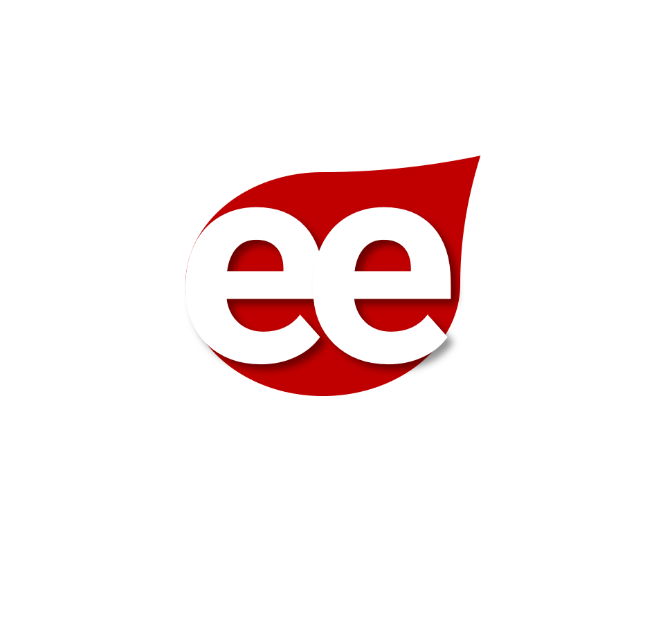 EFFECTUATION EXPERTS